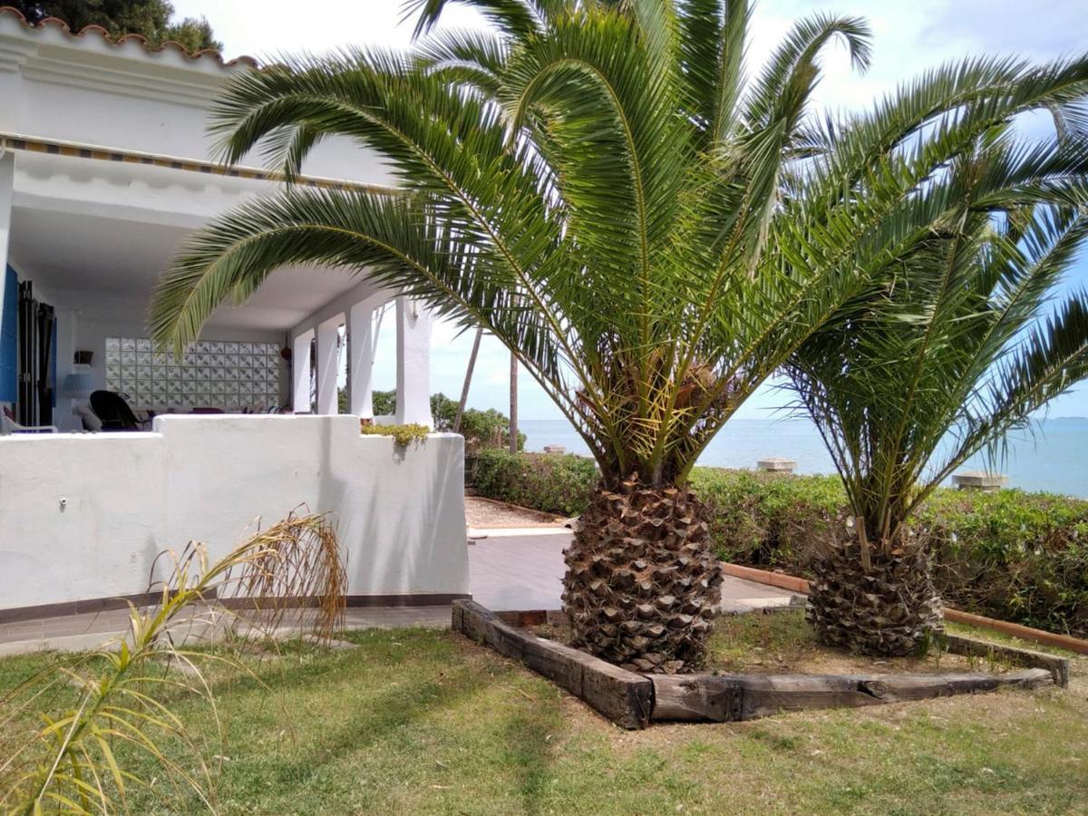 Sargantana Blava Villa Sant Carles De La Rapita Bagian luar foto